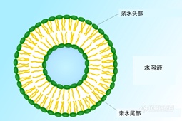 药物传输系统（DDS）中脂质体的测定