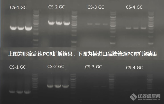 德国PCR世家耶拿深度解读：从哪些方面评价一台PCR 仪的好坏?