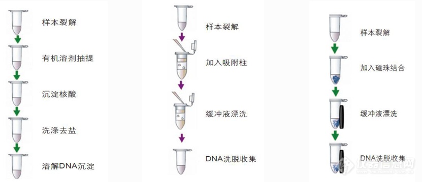 动态