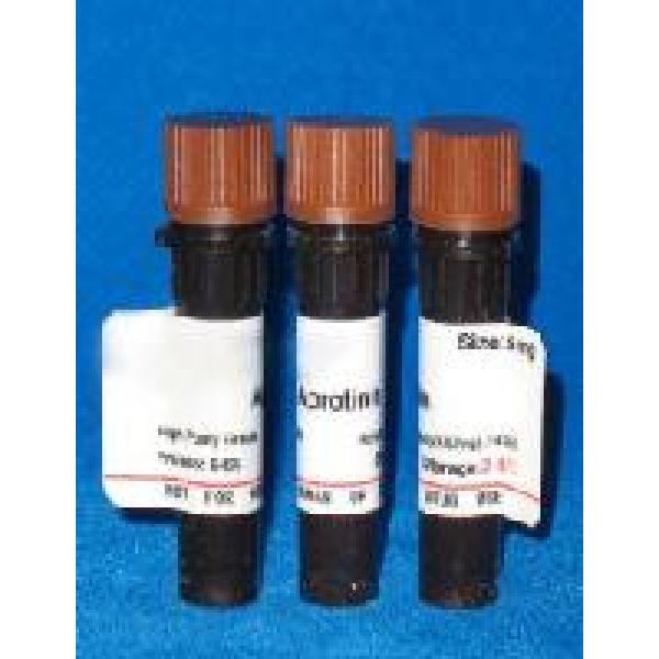 硅烷偶联剂KH550 919-30-2