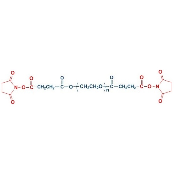 SS-PEG-SS 聚乙二醇 二琥珀酰亚胺琥珀酸酯 