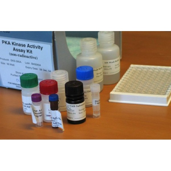 蛋白激酶活性检测试剂盒