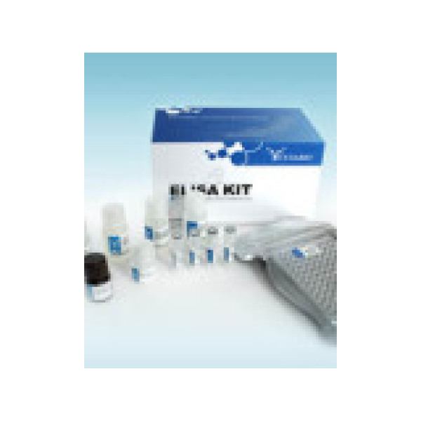 人抗兰尼碱受体钙释放通道抗体(RyR-Ab)ELISA试剂盒