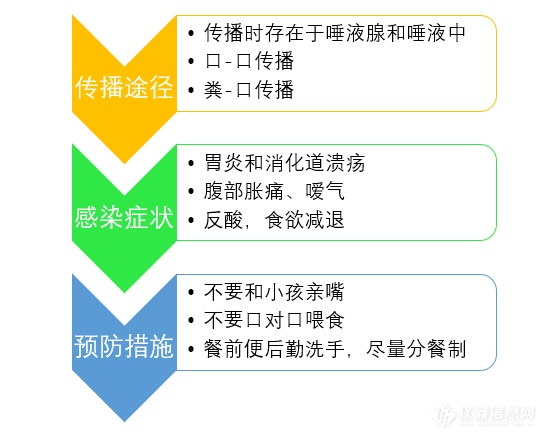 体检项目“幽门螺杆菌”怎么测？岛津MALDI-TOF iDPlus来助力