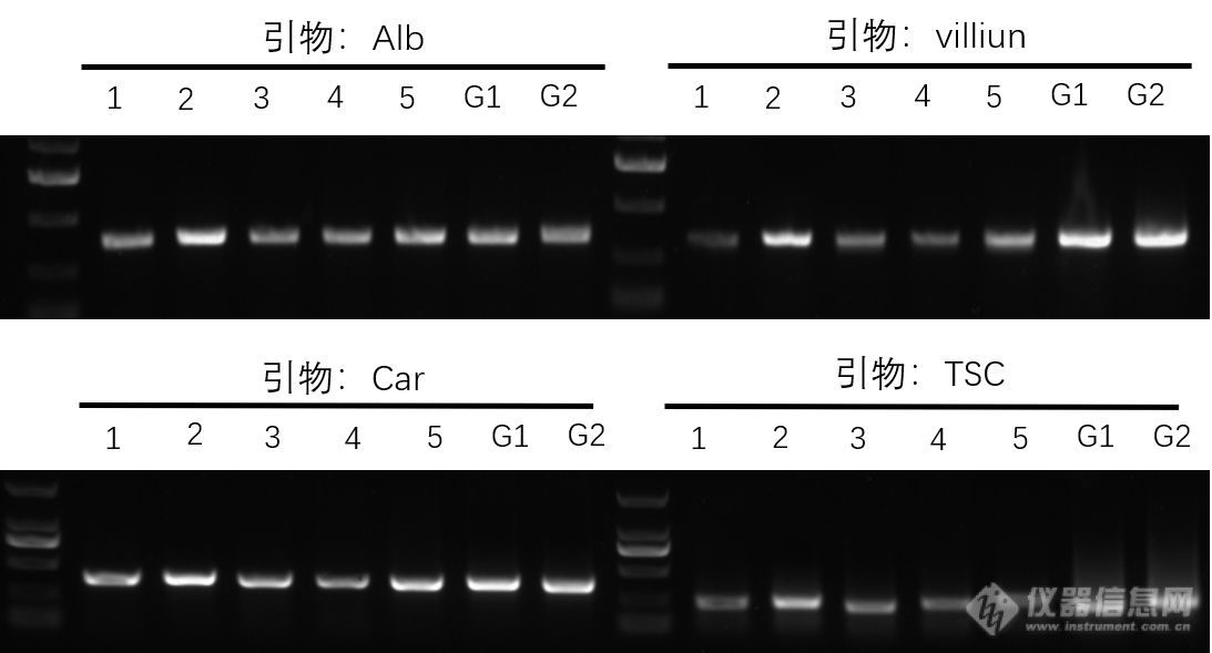 Taq PCR Mix-1.png