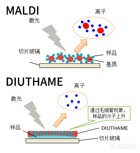 无需Matrix也能搞定质谱成像？来免费体验下吧！