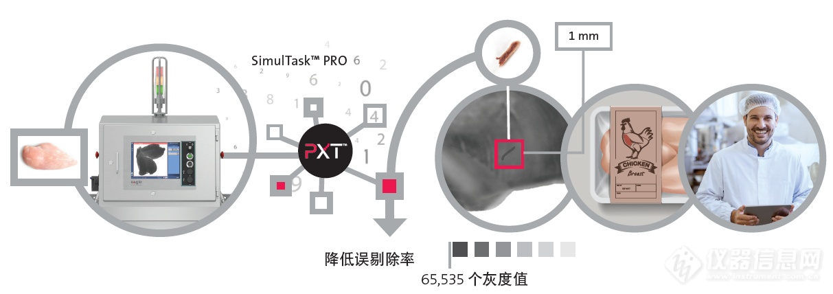 年度盘点|你想要的禽类检测解决方案在这里