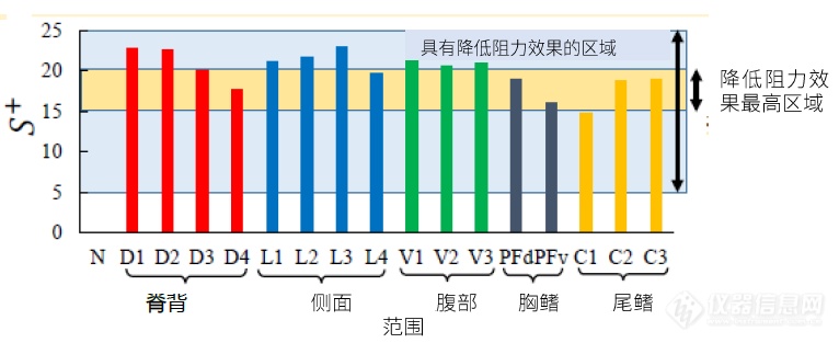 鲨鱼为什么游得快？岛津CT为您揭开谜题