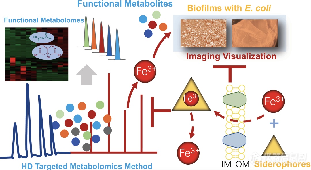 上海交通大学吕海涛课题组发表微生物生物膜功能代谢组学创新研究成果