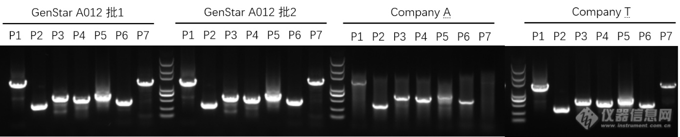 Taq PCR Mix-2.png