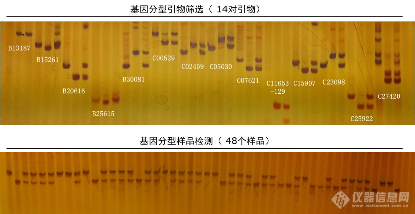 Taq PCR Mix-4.png