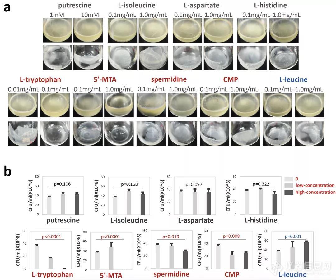 上海交通大学吕海涛课题组发表微生物生物膜功能代谢组学创新研究成果