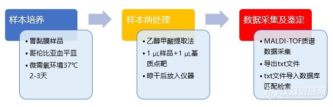 体检项目“幽门螺杆菌”怎么测？岛津MALDI-TOF iDPlus来助力