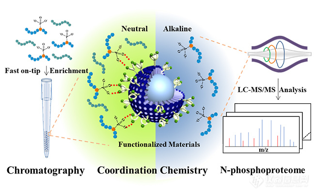 张玉奎院士、张丽华研究员团队蛋白质组学最新成果：N-磷酸化蛋白质组的深度覆盖分析新方法