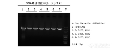 微信图片_202012301306521.png