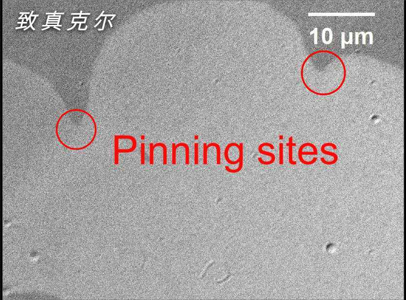 Quantum Design中国合作引进 多功能高分辨率磁光克尔显微成像系统