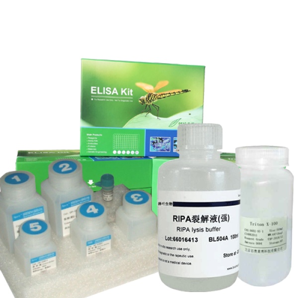 HRP稳定剂/稀释剂 （辣根过氧化物酶稳定剂）