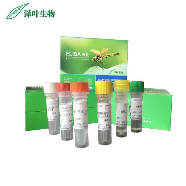 Attwood阿尔辛绿-荧光桃红-肼黄法羊水鳞化上皮细胞染色试剂盒