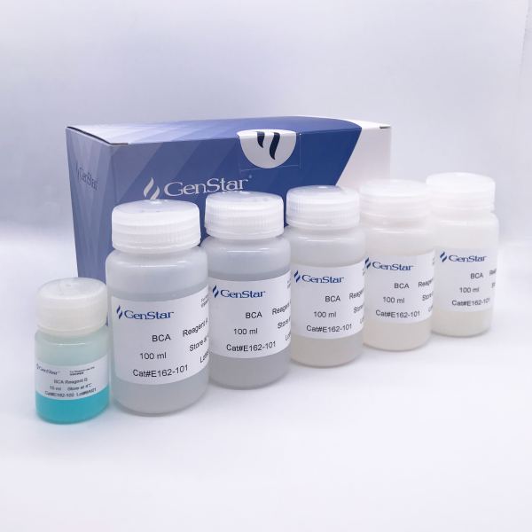 BCA 蛋白质定量试剂盒