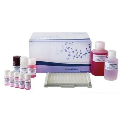 甲肝病毒实时荧光PCR试剂盒