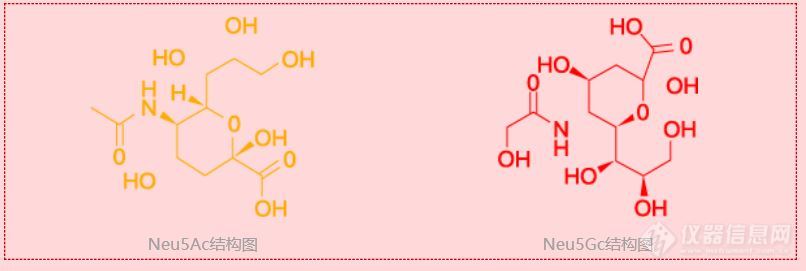 生物药分析丨如果有这样一台“加速器”，您想快进到哪一步？