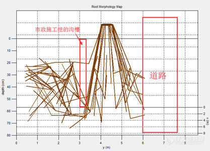 TRU树木雷达、Picus 3和TreeQinetic树木拉伸测试仪落户长春市园林植物保护站