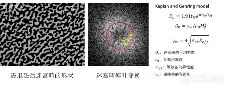 Quantum Design中国合作引进 多功能高分辨率磁光克尔显微成像系统