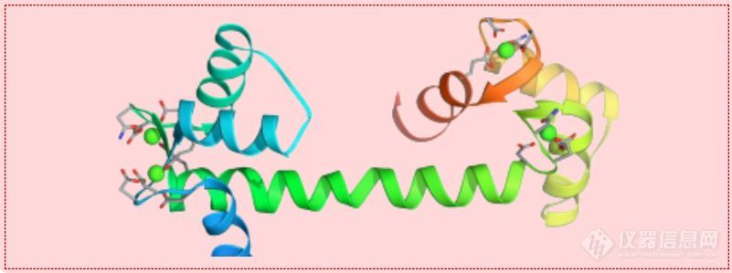 生物药分析丨如果有这样一台“加速器”，您想快进到哪一步？