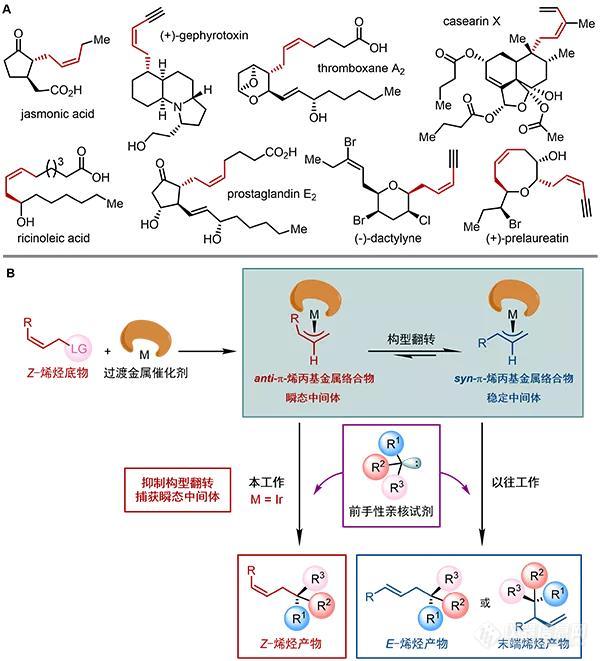 中科院上海有机化学所游书力团队在手性分子精准合成领域取得新突破