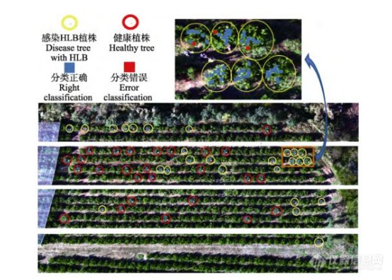 2021年病虫害重发态势，高光谱成像在农林业竟这样用......