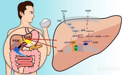 2020年度中国生命科学十大进展公布