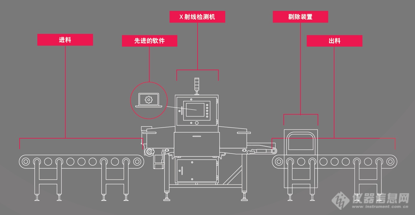 揭秘啦！带你揭秘家禽加工商如何成功解决挑战