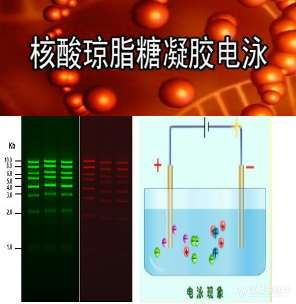 QQ图片20210119195336.jpg