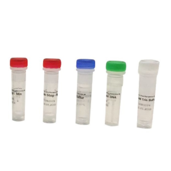 汉氏巴尔通体（汉塞巴尔通体、猫抓病、猫抓热）PCR阳性对照质粒