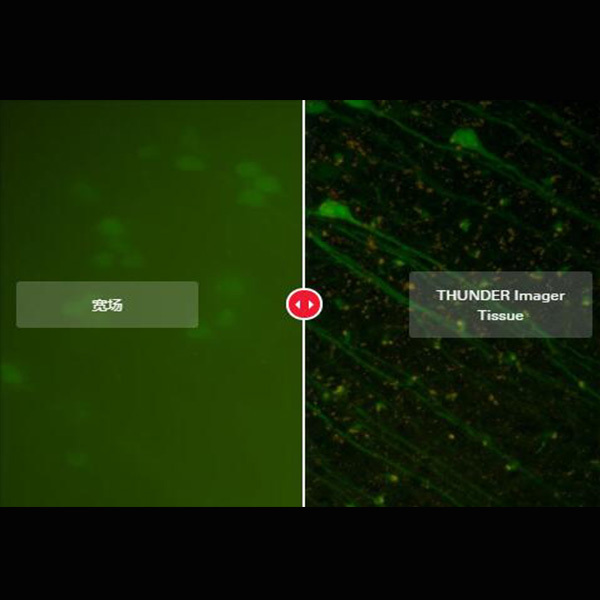 THUNDER Imager Tissue全景组织显微成像系统