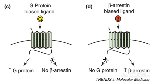 珀金埃尔默推出业界首个GPCR TR-FRET 结合试剂盒以及-Arrestin检测试剂盒以加快发现有效疗法