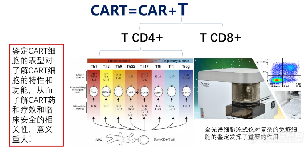 精彩回顾，CART细胞治疗的挑战与进展