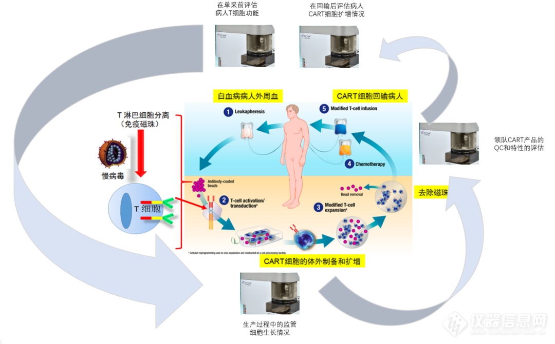 精彩回顾，CART细胞治疗的挑战与进展