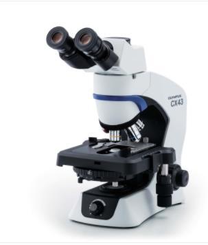 奥林巴斯显微镜CX43三目生物显微镜