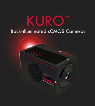 全新 KURO 背照型sCMOS相机