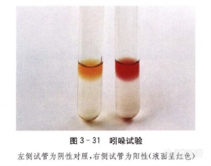 蛋白质、氨基酸分解试验！百欧博伟生物1.png