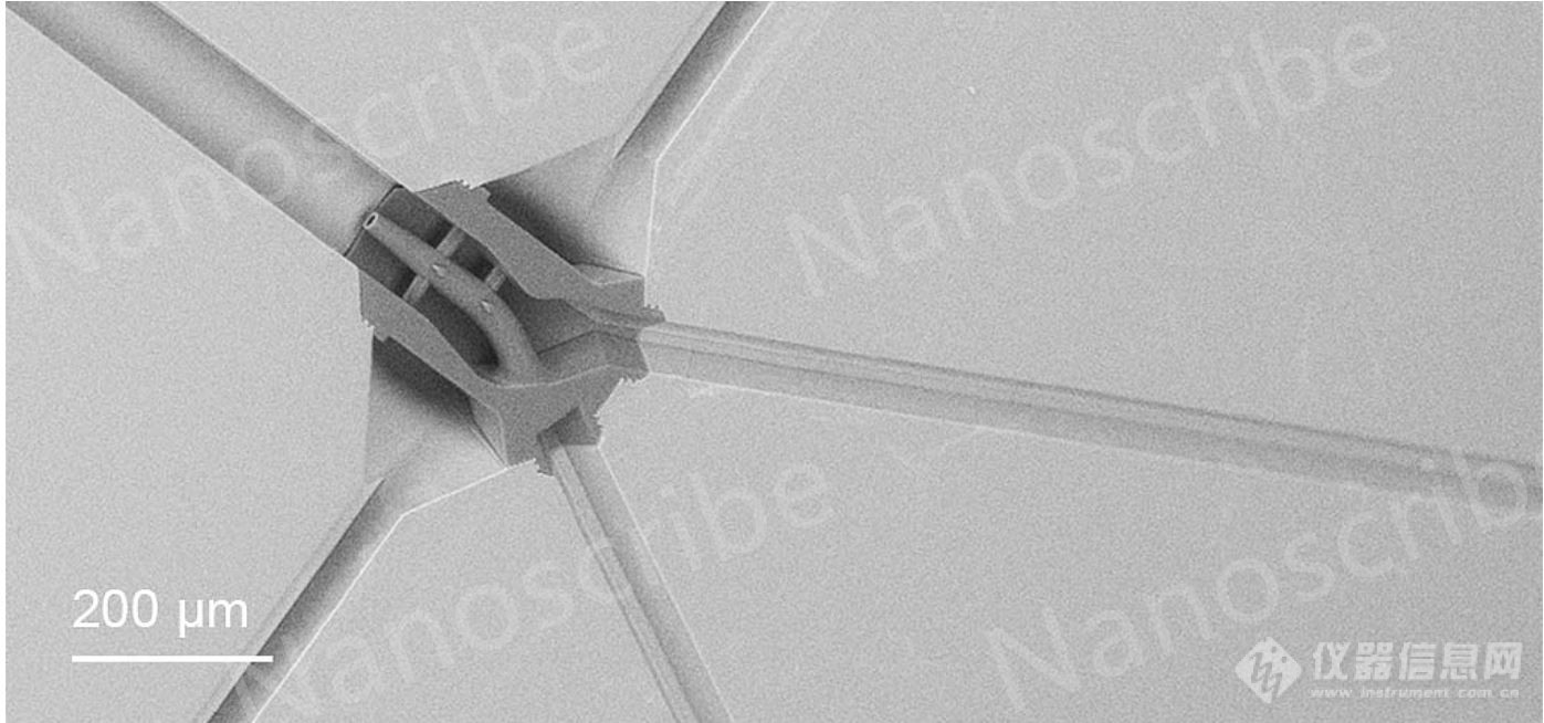 Nanoscribe双光子聚合技术助力微流控芯片内3D打印技术突破