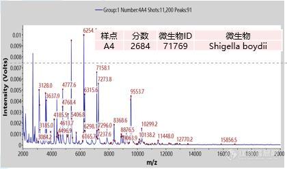 QuanID突破微生物质谱鉴定的局限性