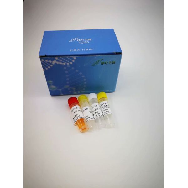 南非诺卡菌染料法荧光定量PCR试剂盒