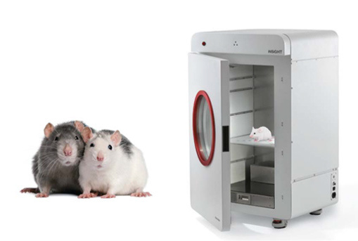 小动物双能X射线骨密度及体成分分析仪