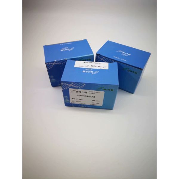 结肠弯曲杆菌染料法荧光定量PCR试剂盒