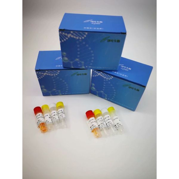 三线镰刀菌染料法荧光定量PCR试剂盒