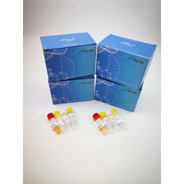 肺炎衣原体染料法荧光定量PCR试剂盒
