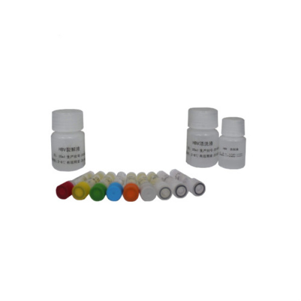 彩色预染蛋白Marker（10-170KD）