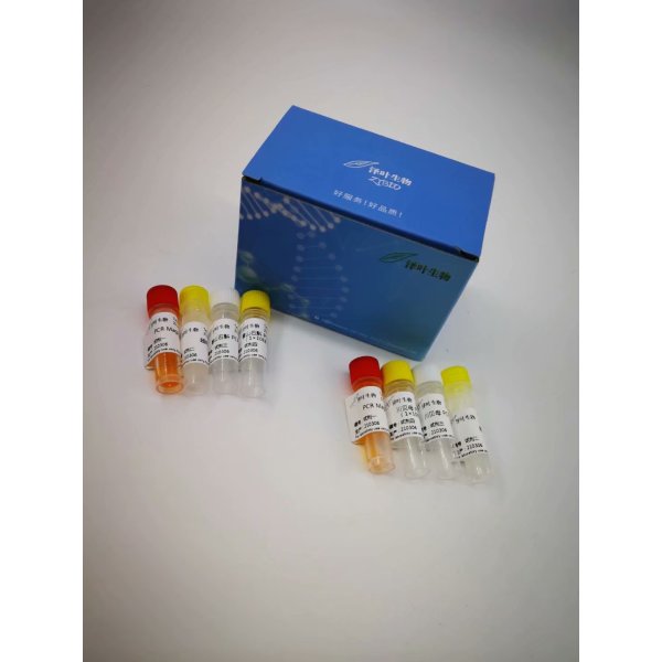 2019-nCoV橙绿变色可视化核酸扩增试剂盒